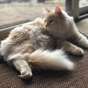 Meet your Posher, Zach